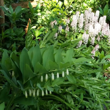 Jardin moyen