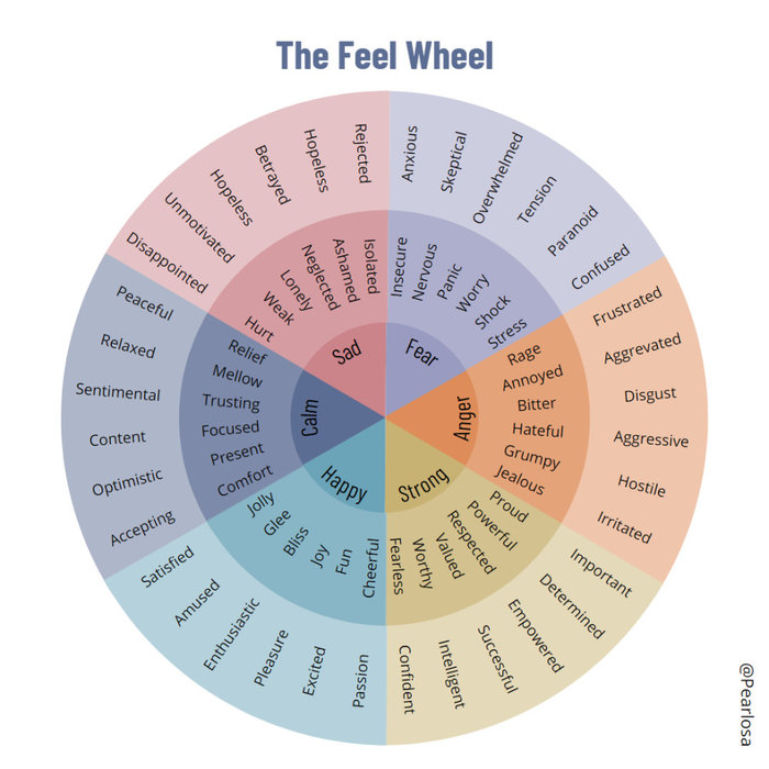 The Feel Wheel
