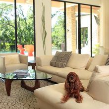 Living Room and Windows