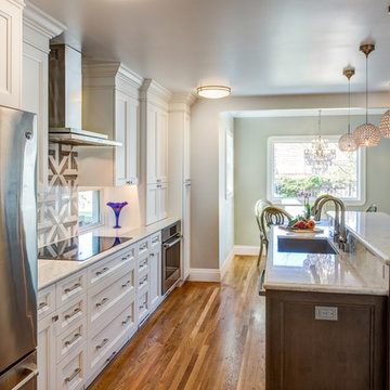 Berkeley Kitchen Remodel