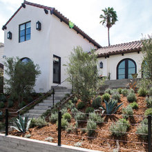 Landscape Ideas