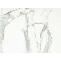 Evolution Calcutta Oro Polished Porcelain 24 x 24 - Tile