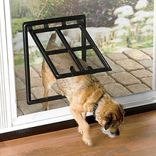 pet products