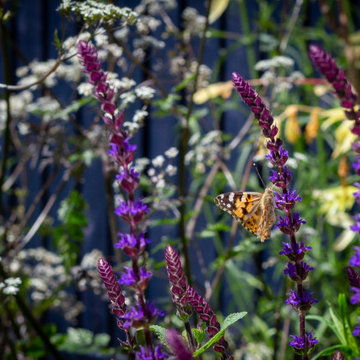 A Pollinator Garden