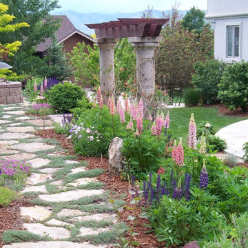 Hillside Lush
