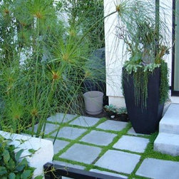 Contempo Pavers - Products