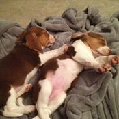 Becky Ligon's photo
