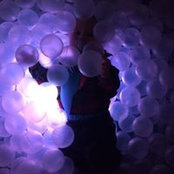 Alan Hall's photo