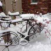 Foto von Jennifer Brynteson