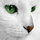 kitty bakke