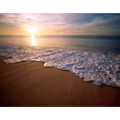 Ashly Davys foto