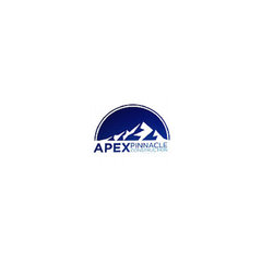 Apex Pinnacle Construction
