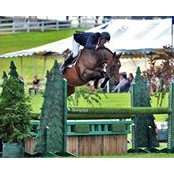 Positive Step Farm's photo