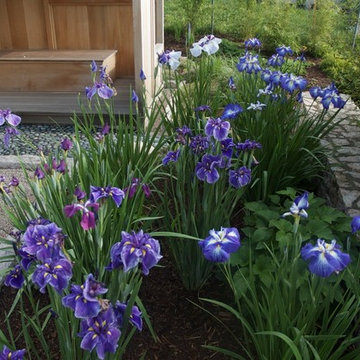 The Inward Garden-- an asian-inspired garden