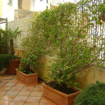 Foto  terrazzo con Gelsomini