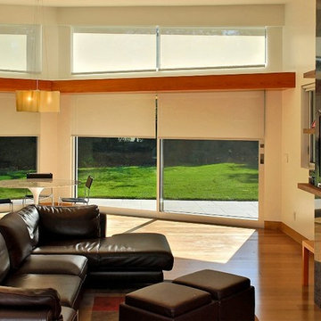 WINDOWSINFASHION NY ROLLER SHADES