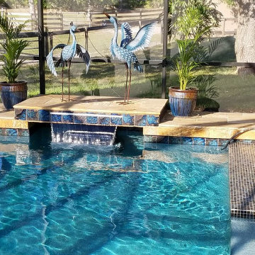 Fastlane® Pro by Endless Pools