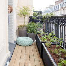 Prima e Dopo: Realizzare un Micro Orto su un Lungo Balcone