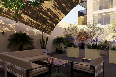 Una vita sulla terrazza romana