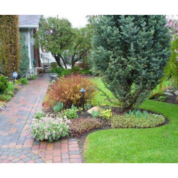 Landscape design highlights