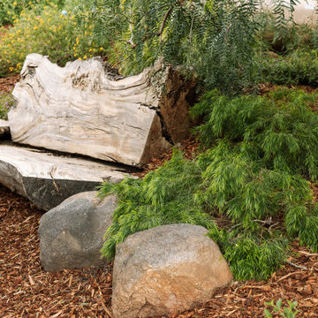 Alpine Natural Living