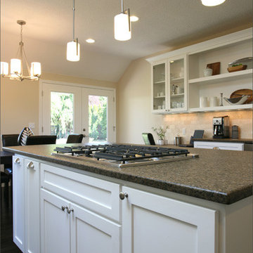 Modern Kitchen Addition
