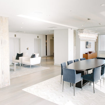 Downtown Penthouse