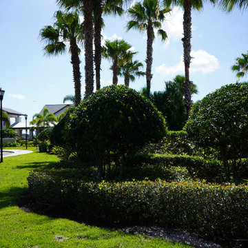 Outdoor Living Spaces