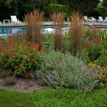 Deer Resistant Garden