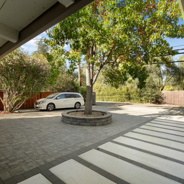 Front & Side Yard