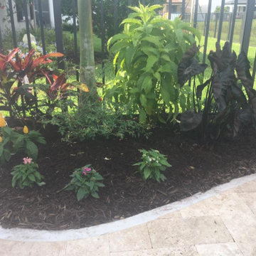 Lush Tropical Garden