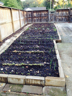 New Garden - Row Width