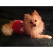 Foto von Wrigley Ciesluk