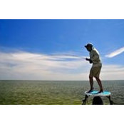Pj Rubin's photo