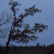Foto von louise voth