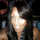 shaunda_johnson