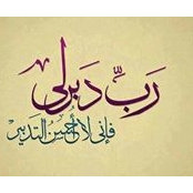 Foto von Amany Haggag