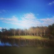 Foto di Coolbohe