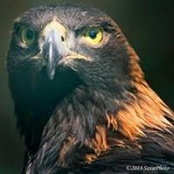 Foto de GV Eagle