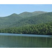 Galina Dimov's photo