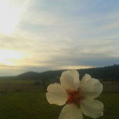 Photo de Aline Z