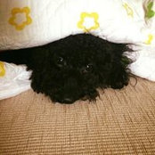 Kim Nuong's photo