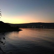 Stanley Yeo's photo