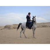 Mahmoud Nagib's photo