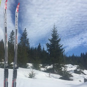 Foto de Anna Kenseth