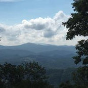 Michele Wagner's photo