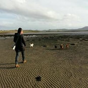 Jill Mulligan's photo