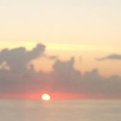 Denise Benedict's photo