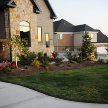 front yard