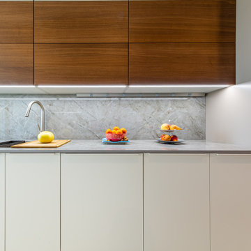 Leicht Kitchen renovation - Ariel Building